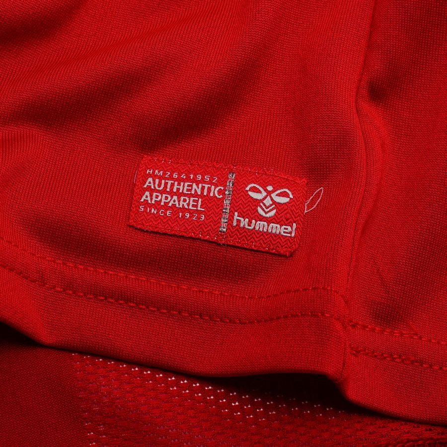 2026 Denmark Home Soccer Jersey World Cup 2026
